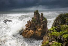 New Zealand 2025 (1 group) (6/66)